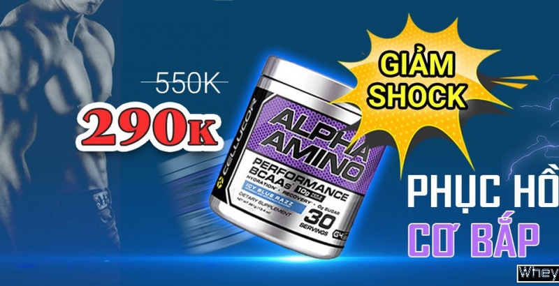 Sự kiện có 1-0-2 - giảm sốc bảo bối Nhà Cái F8bet casino trang chủ chính thức F8 BET - Alpha Amino