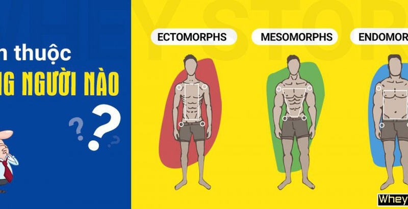 Cách nhận biết bạn thuộc tạng người nào???