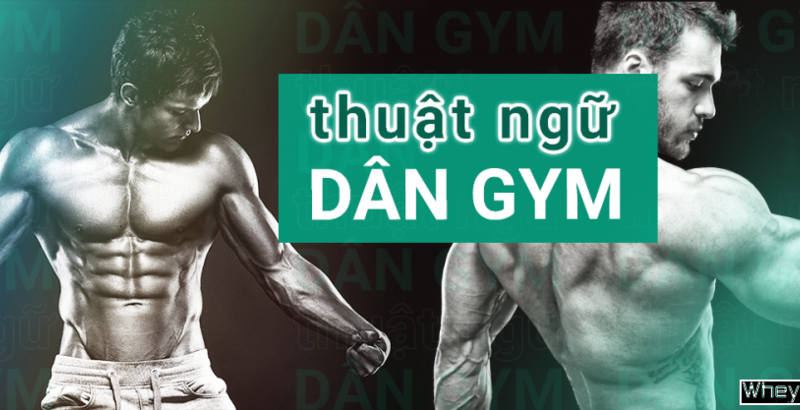 Giải mã thuật ngữ dân gym