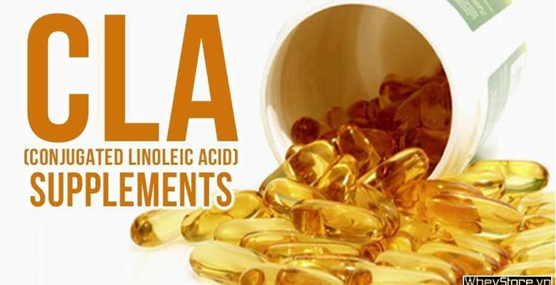 CLA là gì ? Thông tin, cách thức sử dụng CLA