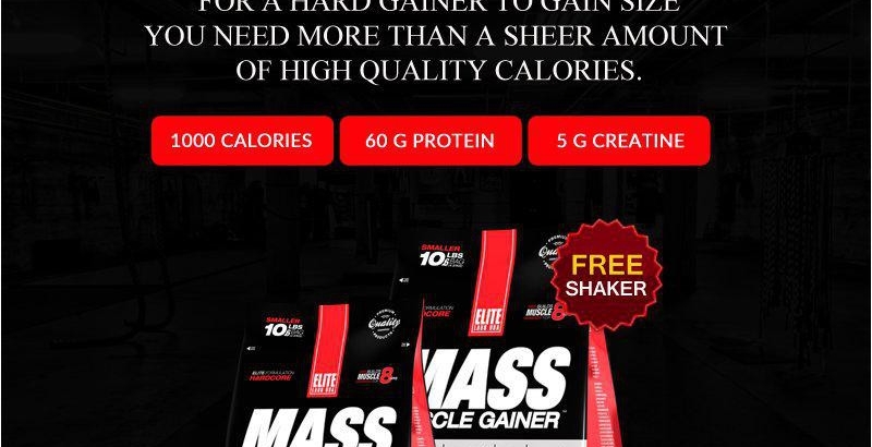 Elitelab mass muscle gainer có tốt không?