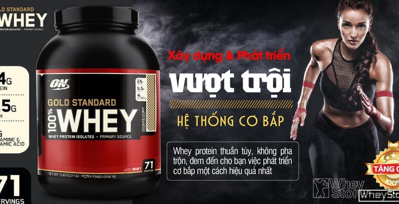 Tác dụng, ưu điểm và cách sử dụng sữa tăng cơ Whey Gold