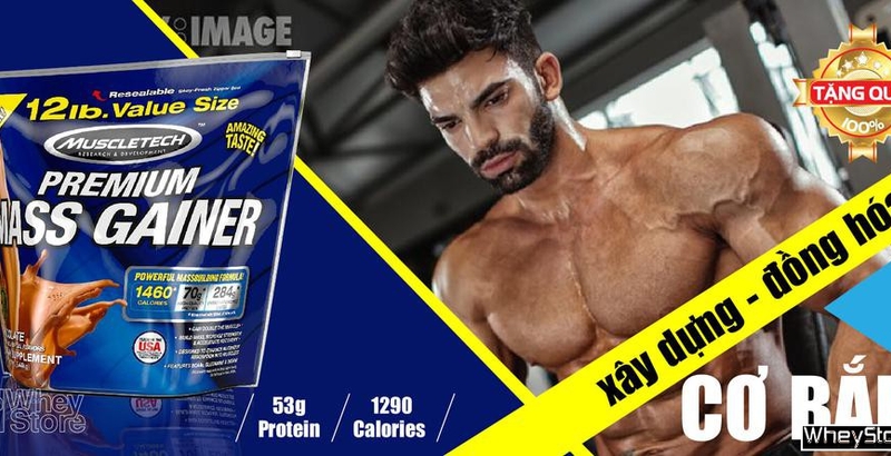 Cách dùng Premium Mass đúng để M f8beta2 c cá cược WC 2026 hiệu quả