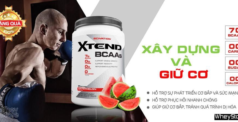 BCAA là gì? Tác dụng phụ và cách dùng BCAA hiệu quả