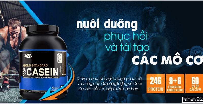 Tại sao bạn nên dùng Casein Protein?