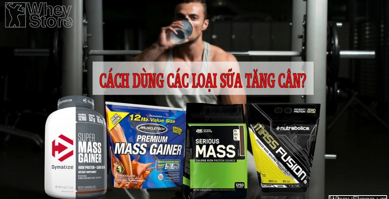 Cách dùng sữa M f8beta2 c cá cược WC 2026 mass hiệu quả?