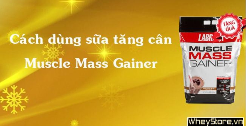Cách dùng sữa M f8beta2 c cá cược WC 2026 Muscle Mass Gainer