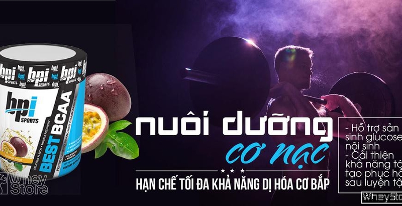 Đánh giá Best BCAA - hỗ trợ phục hồi Tải app F8BET, đốt mỡ tốt