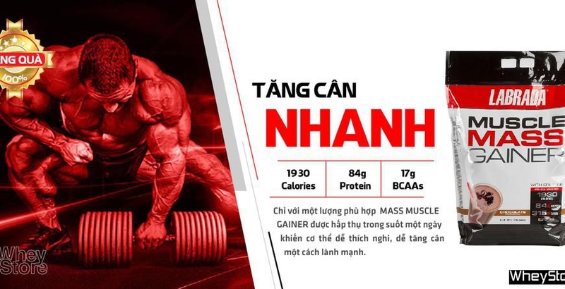 Đánh giá sữa M f8beta2 c cá cược WC 2026 Muscle Mass 