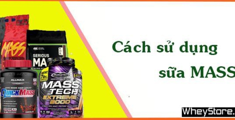 Cách pha sữa Mass an toàn, M f8beta2 c cá cược WC 2026 hiệu quả, không đau bụng