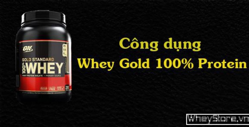 Công dụng của Whey Gold - Sữa tăng cơ tốt trên thị trường