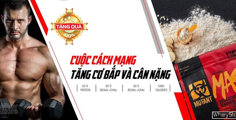 Cách sử dụng Mutant Mass như thế nào?