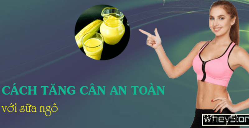 Cách M f8beta2 c cá cược WC 2026 an toàn với 2 ly sữa bắp mỗi ngày