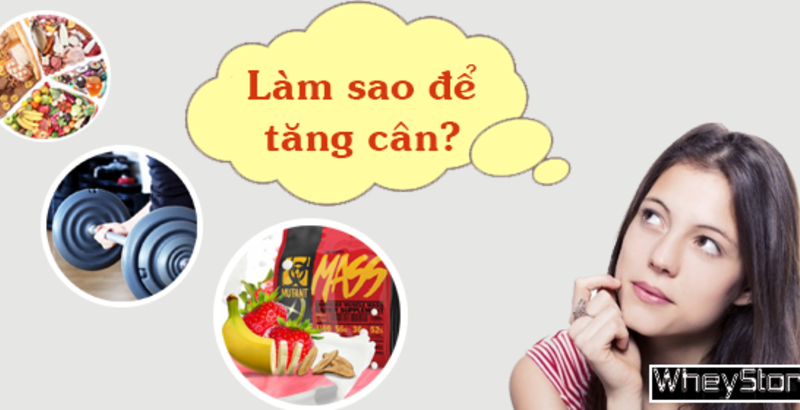 Làm sao để M f8beta2 c cá cược WC 2026 nhanh cho người khó hấp thu?