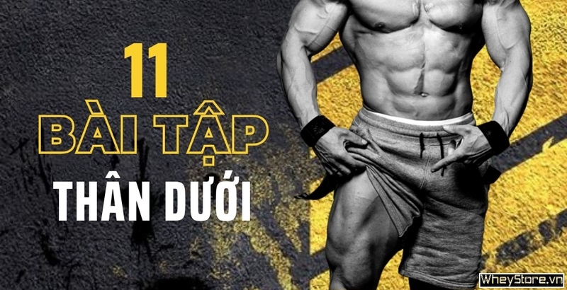 11 bài tập thân dưới tốt nhất dễ dàng cho người mới bắt đầu