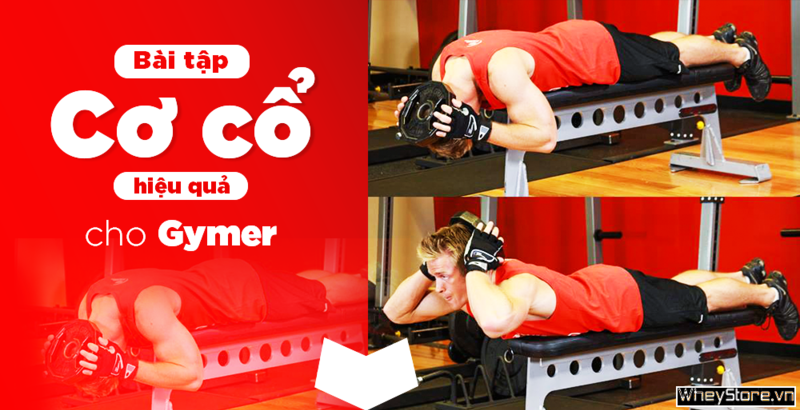 5 bài tập cơ cổ hiệu quả cho Gymer giúp phát triển toàn diện