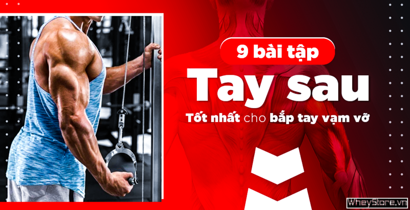 9 bài tập tay sau tốt nhất cho bắp tay vạm vỡ, đầy sức mạnh