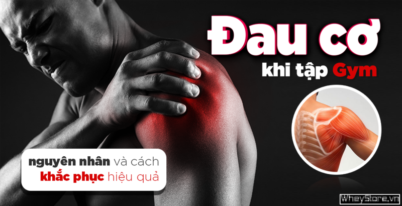 Đau cơ khi tập Gym – nguyên nhân và cách khắc phục hiệu quả