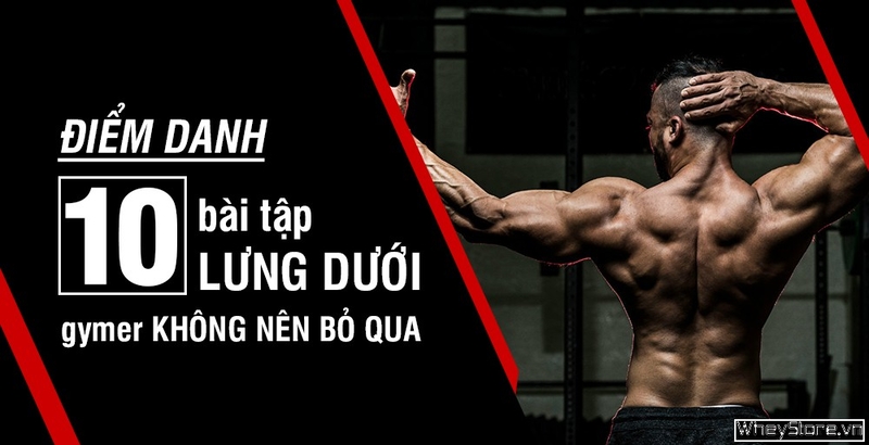Điểm danh 10 bài tập lưng dưới gymer không nên bỏ qua