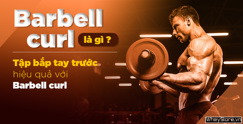Barbell curl là gì? Tập bắp tay trước hiệu quả với Barbell curl