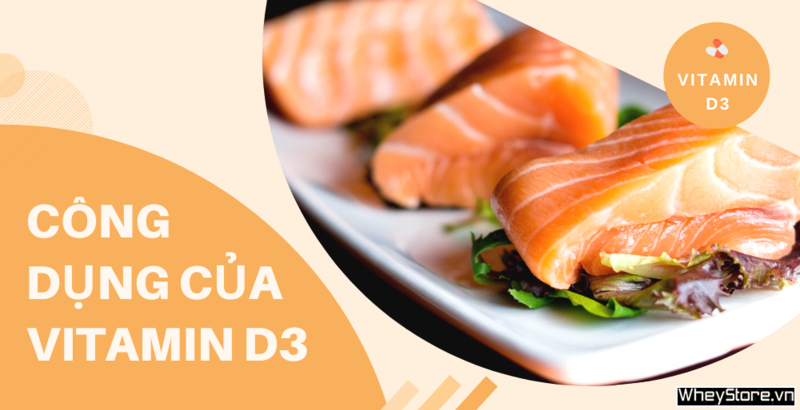 Vitamin D3 có tác dụng gì? Cách bổ sung vitamin D3 hiệu quả