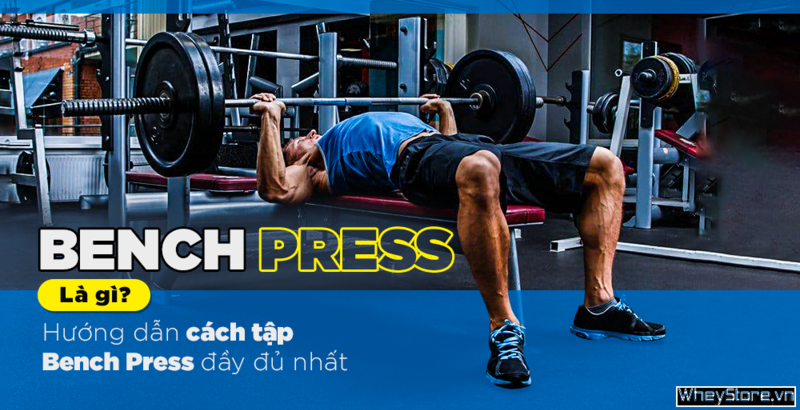 Bench Press là gì? Hướng dẫn cách tập Bench Press đầy đủ nhất