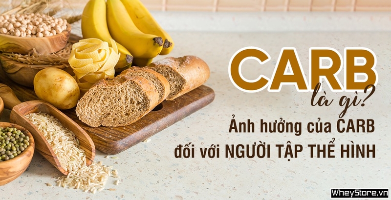 Carb là gì? Ảnh hưởng của Carb đối với người tập thể hình