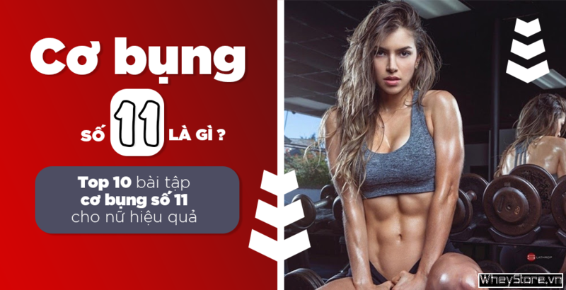 Cơ bụng số 11 là gì? Top 10 bài tập cơ bụng số 11 cho nữ hiệu quả