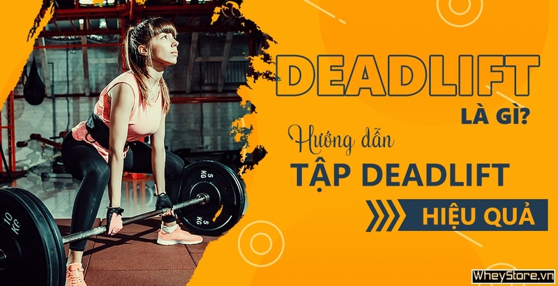 Deadlift là gì? Hướng dẫn tập deadlift đúng cách, hiệu quả nhất