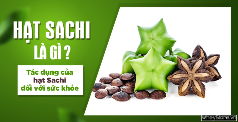 Hạt Sachi là gì? Tác dụng của hạt Sachi đối với F8bet09 vip giải trí trực tuyến