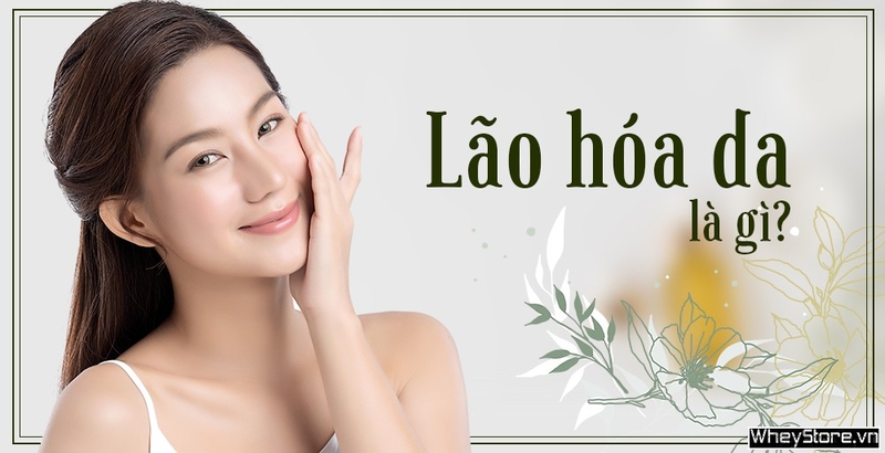 Lão hóa da là gì? Nguyên nhân và cách ngăn ngừa lão hóa da