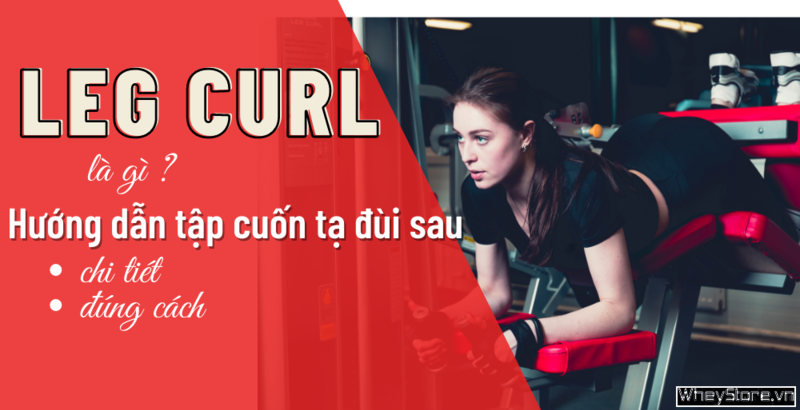 Leg curl là gì? Hướng dẫn tập cuốn tạ đùi sau chi tiết, đúng cách