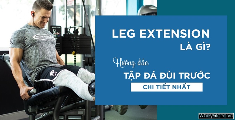 Leg extension là gì? Hướng dẫn tập đá đùi trước chi tiết nhất