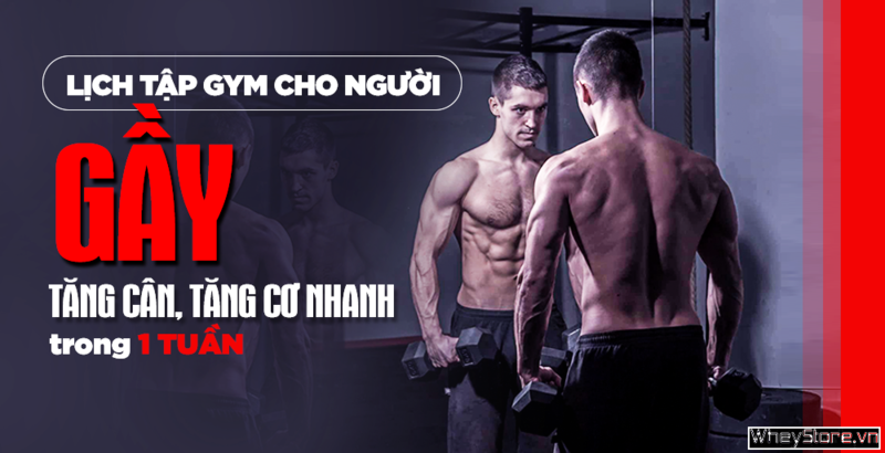 Lịch tập Gym cho người gầy M f8beta2 c cá cược WC 2026, tăng cơ nhanh trong 1 tuần