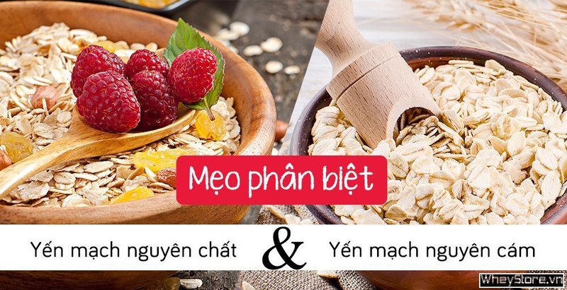 Mẹo phân biệt yến mạch nguyên chất và yến mạch nguyên cám
