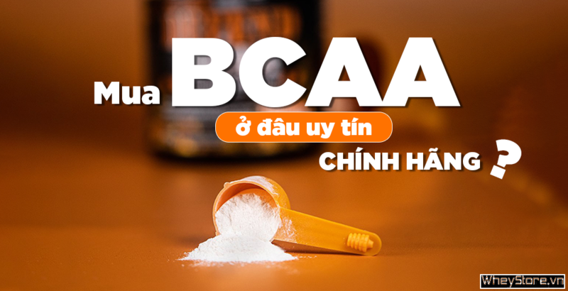 Mua BCAA ở đâu uy tín, chính hãng, đảm bảo chất lượng?