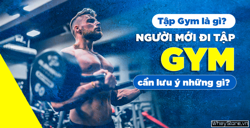 Tập Gym là gì? Người mới đi tập Gym cần lưu ý những gì?