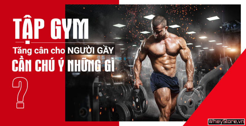 Tập Gym M f8beta2 c cá cược WC 2026 cho người gầy cần chú ý những gì?