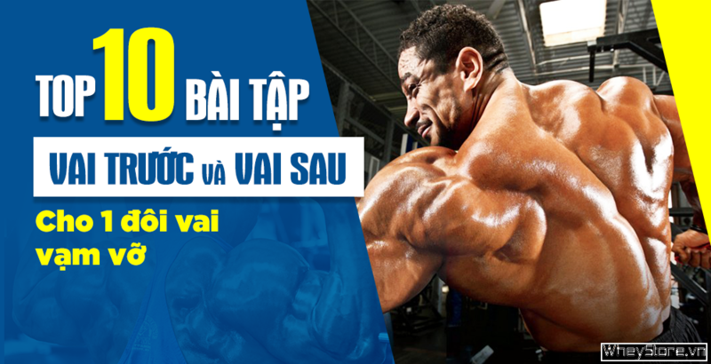 Top 10 các bài tập vai trước và sau hiệu quả cho người tập Gym