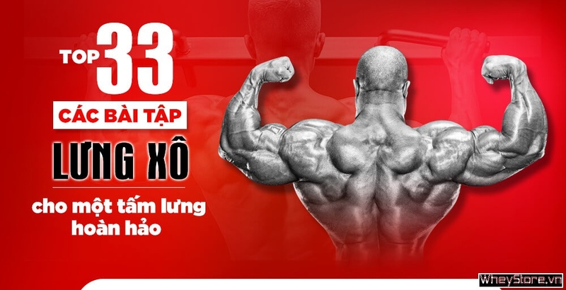 Top 33 các bài tập lưng xô cho một tấm lưng hoàn hảo