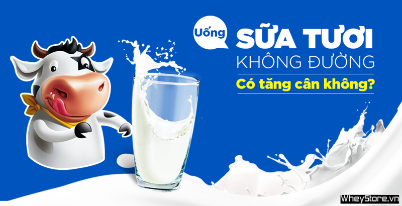 Uống sữa tươi không đường có M f8beta2 c cá cược WC 2026 không?