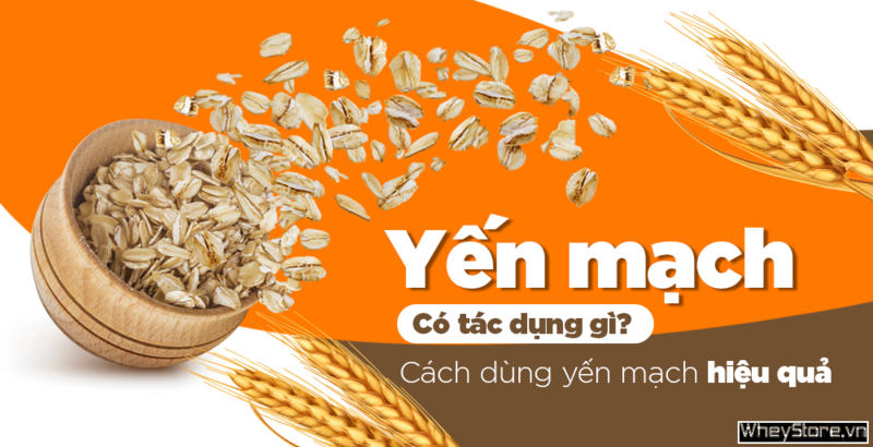M.f8beta2.con link không chặn có tác dụng gì? 8 lợi ích khi ăn yến mạch mỗi ngày