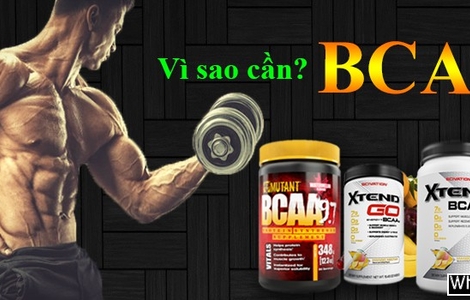 Vì sao cần BCAA trong quá trình tập Gym tăng cơ?
