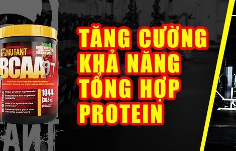 Một ngày nên uống bao nhiêu Mutant BCAA?