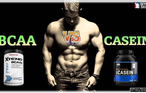 Nên dùng Casein hay BCAA để hỗ trợ Nhà Cái F8bet casino trang chủ chính thức F8 BET