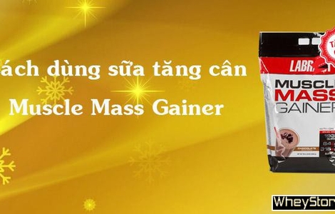Cách dùng sữa M f8beta2 c cá cược WC 2026 Muscle Mass Gainer