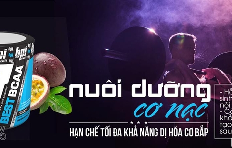 Đánh giá Best BCAA - hỗ trợ phục hồi Tải app F8BET, đốt mỡ tốt