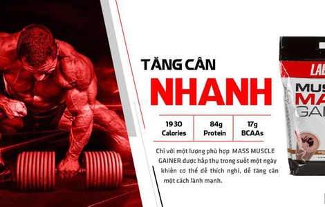 Đánh giá sữa M f8beta2 c cá cược WC 2026 Muscle Mass 