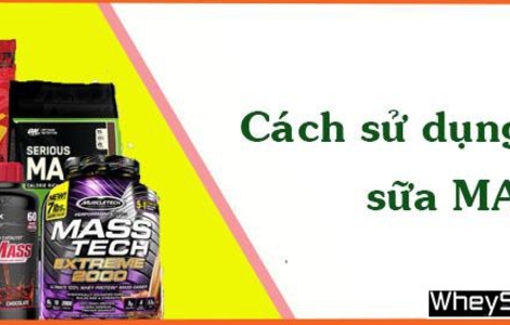 Cách pha sữa Mass an toàn, M f8beta2 c cá cược WC 2026 hiệu quả, không đau bụng