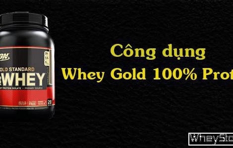 Công dụng của Whey Gold - Sữa tăng cơ tốt trên thị trường